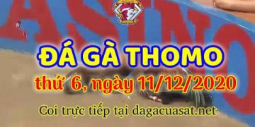 cuasat thang12-2020 (11)