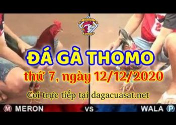 cuasat thang12-2020 (12)