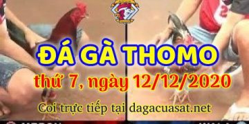 cuasat thang12-2020 (12)