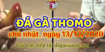 cuasat thang12-2020 (13)