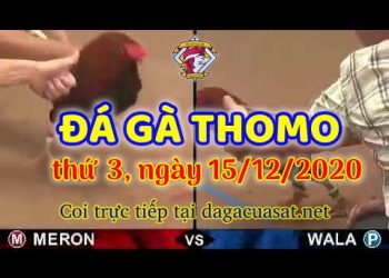 cuasat thang12-2020 (15)