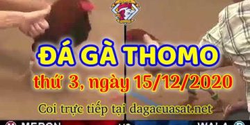 cuasat thang12-2020 (15)