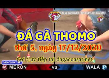 cuasat thang12-2020 (17)