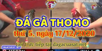 cuasat thang12-2020 (17)