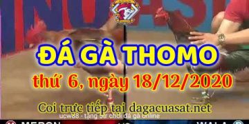 cuasat thang12-2020 (18)