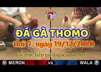 cuasat thang12-2020 (19)