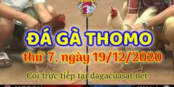 cuasat thang12-2020 (19)