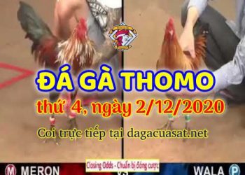 cuasat thang12-2020 (2)