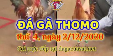 cuasat thang12-2020 (2)