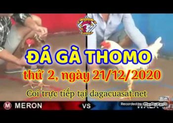 cuasat thang12-2020 (21)