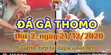 cuasat thang12-2020 (21)