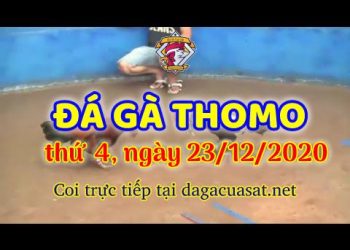 cuasat thang12-2020 (23)