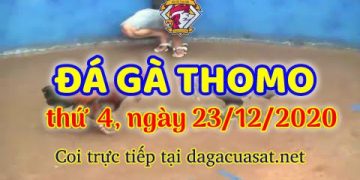 cuasat thang12-2020 (23)