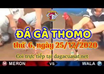 cuasat thang12-2020 (25)