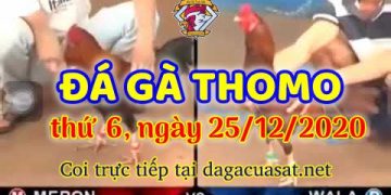 cuasat thang12-2020 (25)