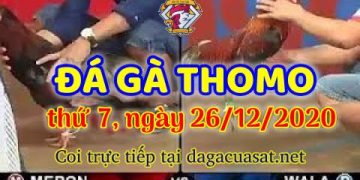 cuasat thang12-2020 (26)