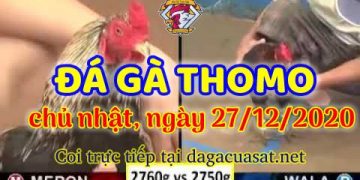 cuasat thang12-2020 (27)