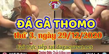 cuasat thang12-2020 (29)