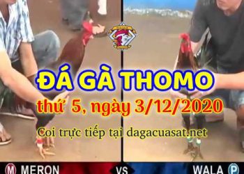 cuasat thang12-2020 (3)