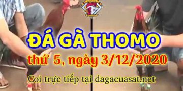 cuasat thang12-2020 (3)