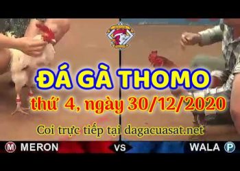 cuasat thang12-2020 (30)