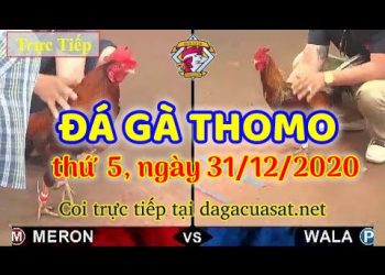 cuasat thang12-2020 (31)