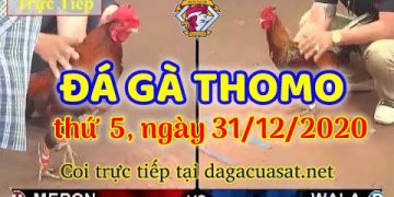 cuasat thang12-2020 (31)