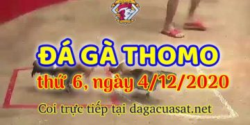 cuasat thang12-2020 (4)