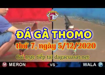 cuasat thang12-2020 (5)