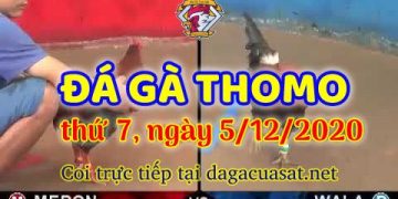 cuasat thang12-2020 (5)