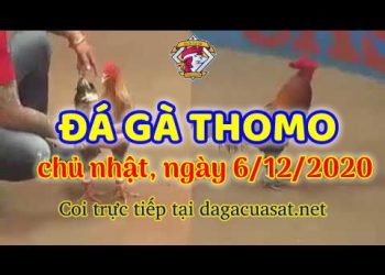 cuasat thang12-2020 (6)