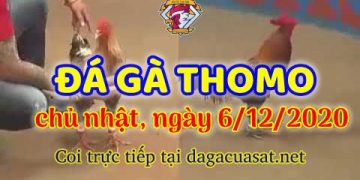 cuasat thang12-2020 (6)