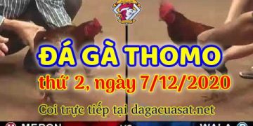 cuasat thang12-2020 (7)