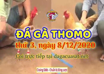 cuasat thang12-2020 (8)