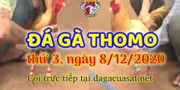 cuasat thang12-2020 (8)