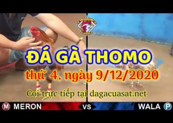 cuasat thang12-2020 (9)