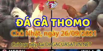 daga-T9-26