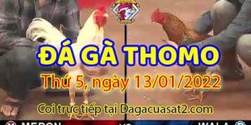 daga-t1-13