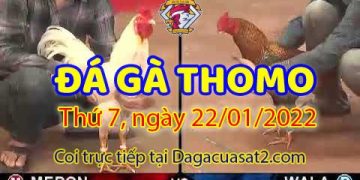 daga-t1-22