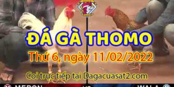daga-t2-11