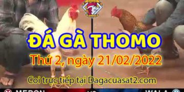 daga-t2-21