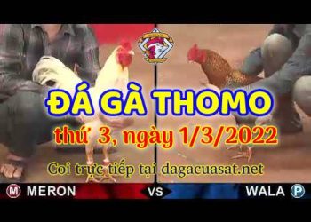 cuasat thang3-2022 (1)