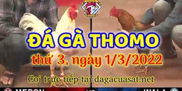 cuasat thang3-2022 (1)