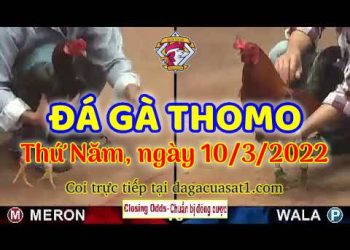 dagacuasat thang3-2022 (10)