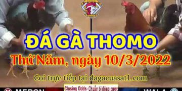 dagacuasat thang3-2022 (10)