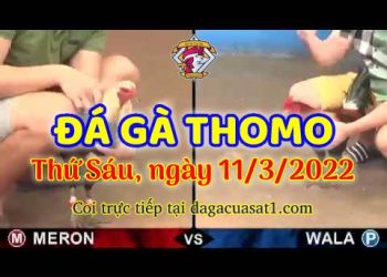 dagacuasat thang3-2022 (11)