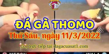 dagacuasat thang3-2022 (11)