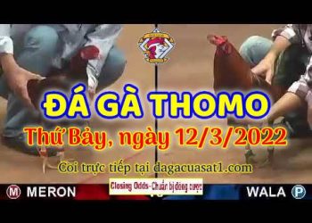 dagacuasat thang3-2022 (12)