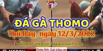 dagacuasat thang3-2022 (12)