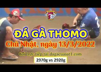 dagacuasat thang3-2022 (13)